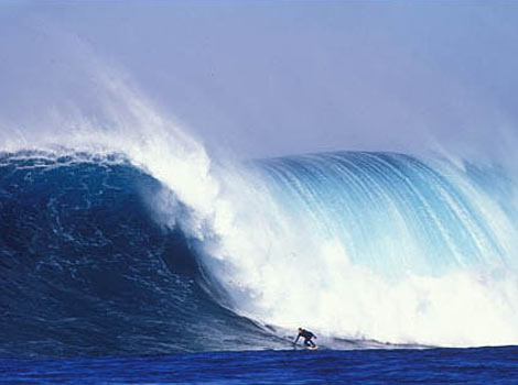 surfing_17_470x350