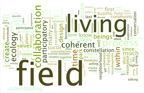 A wordl cloud of the most frequent words in this article
